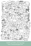 100 AFRICAN ANIMALS giant coloring poster