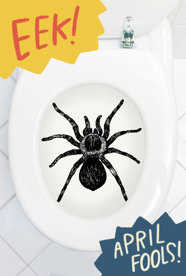 April Fool's Day Tarantula in the Toilet prank!