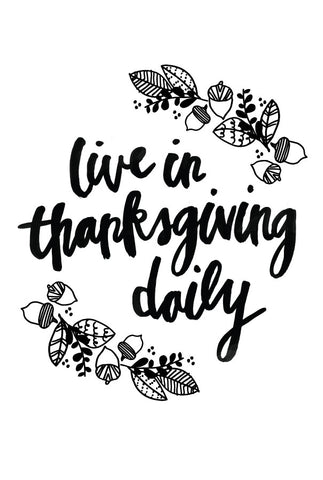 Live in Thanksgiving Daily